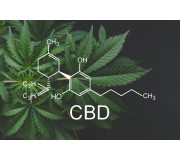 Все для вашого благополуччя: світ сертифікованої CBD, натуральні продукти для здоров'я та балансу